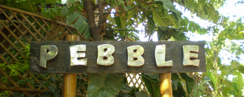 Pebble - The Jungle Lounge 